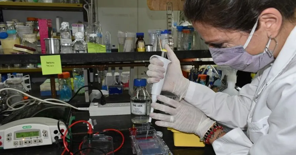 Acuerdo del INTA Bariloche y un laboratorio para elaborar vacuna contra el COVID
