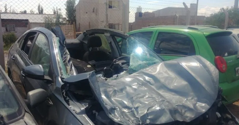Chocó contra dos caballos en la Ruta 22 y se salvó de milagro
