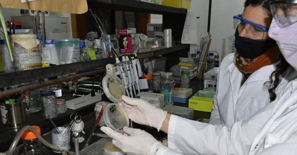 Conocé los detalles de la búsqueda de una vacuna contra el COVID en Bariloche