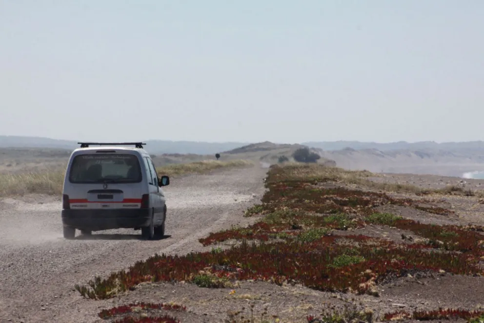 Ladrones 3.0: ahora roban autos con bloqueadores de alarmas
