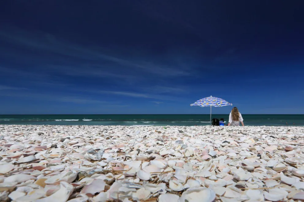 Malditas vacaciones: estafas, engaños y llanto en el Puerto de SAE