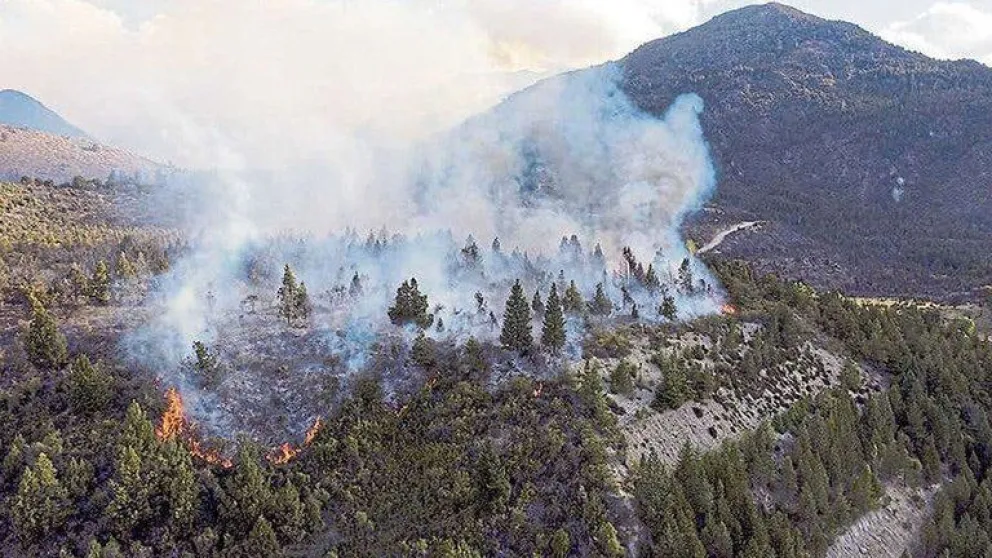 Continúa el monitoreo en el sector del incendio de El Bolsón