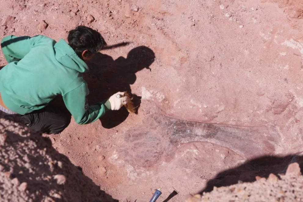 Revelan que el titanosaurio más antiguo vivió en la Patagonia