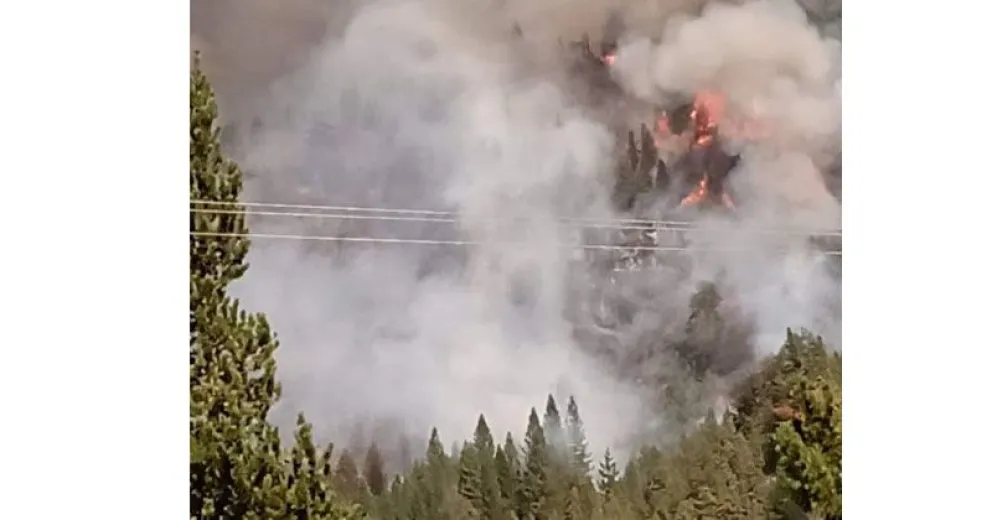 Nuevamente hay un incendio forestal a kilómetros de El Hoyo