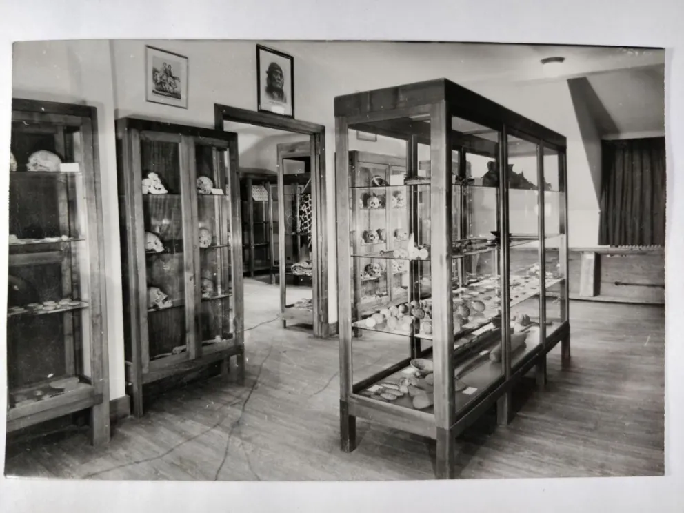 El replanteo del Museo de la Patagonia genera polémicas