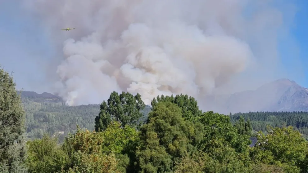 El fenómeno de los grupos ecologistas juveniles en Bariloche
