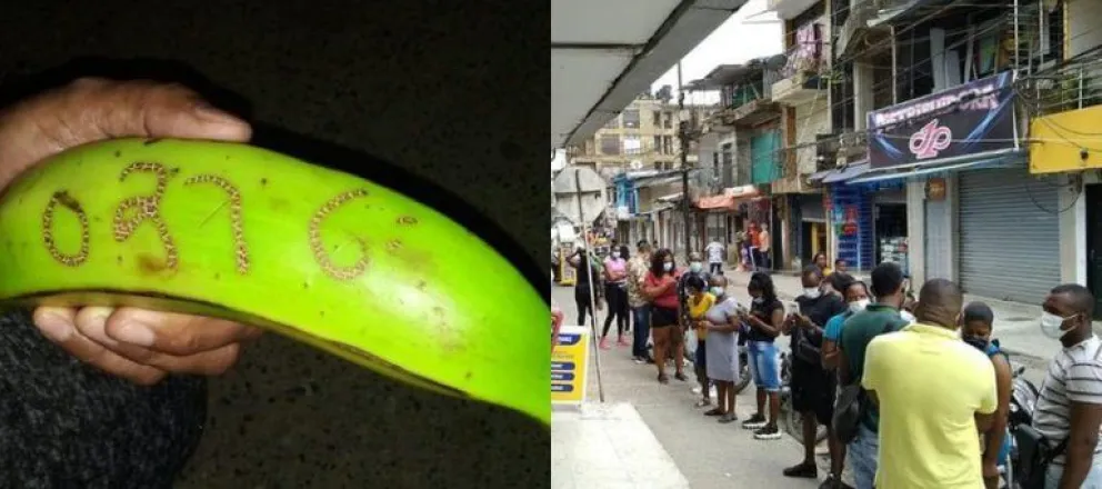  Insólito: más de 2.000 personas ganaron la lotería gracias a un... ¡plátano!