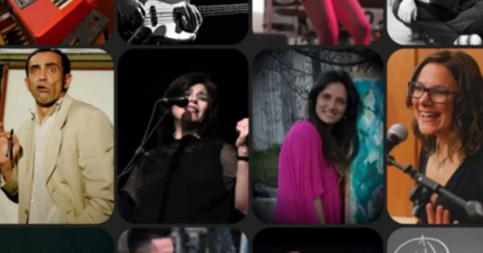 Trece artistas de Bariloche darán vida a Proyecto Sanarte