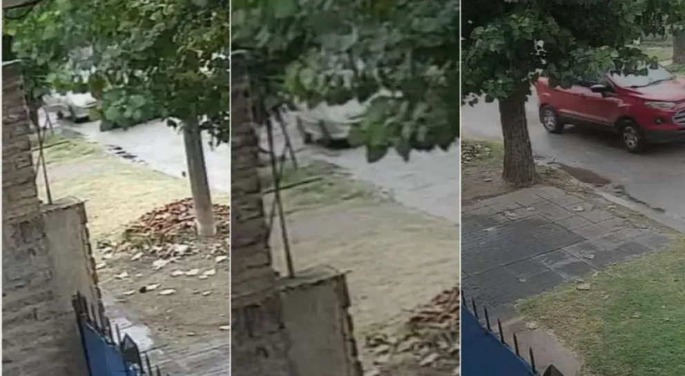  Chofer pensó que lo iban a asaltar, hizo marcha atrás y mató a una pasajera