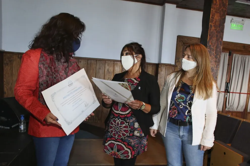 El Senado distinguió al proyecto Sanarte por su contribución al hospital