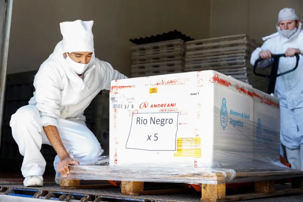 En las próximas horas llegarán 6 mil dosis de la vacuna rusa a Río Negro