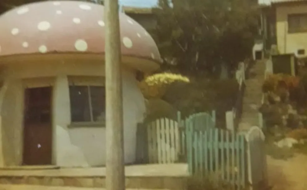 EMOCIONES ENCONTRADAS: La historia detrás del honguito