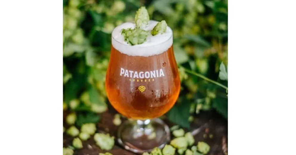 Cosecha de lúpulo en Cerveza Patagonia