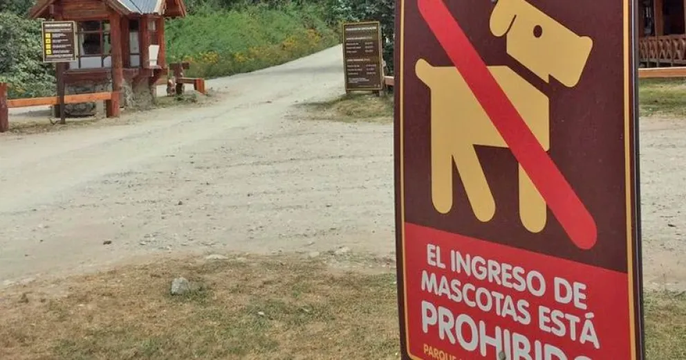Todo lo que hay que saber para disfrutar el Parque Nacional Nahuel Huapi