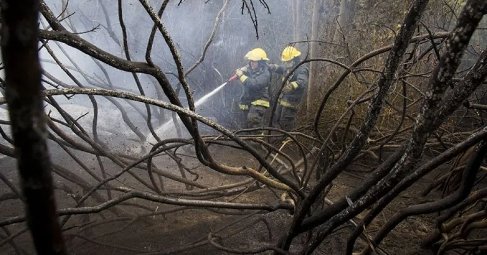 Incendio forestal puso en riesgo varias viviendas