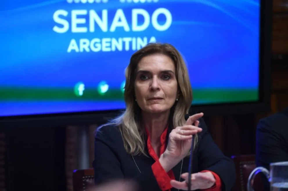 Una senadora denunció que Soria "llegó para copar con militantes la Justicia"
