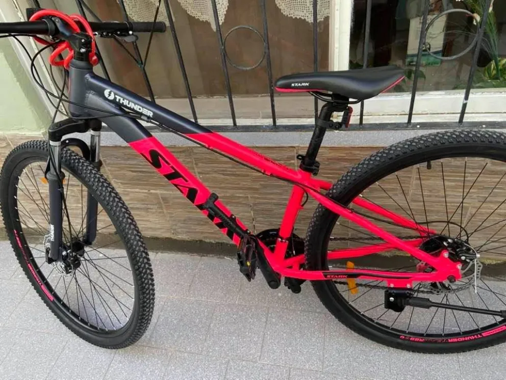 Le robaron la bicicleta a la intendenta y pidió ayuda por Facebook para hallarla