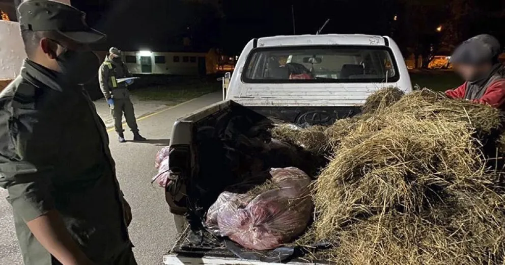 Llevaban 615 kilos de carne de guanaco y fueron atrapados