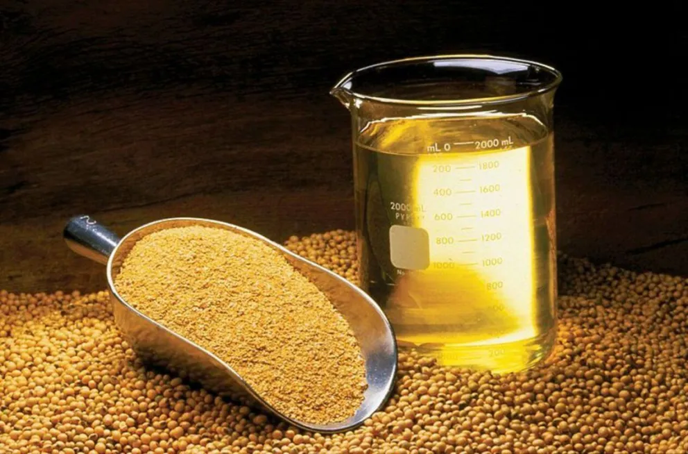 Soja: Argentina vuelve a ser el principal proveedor mundial de harina y aceite