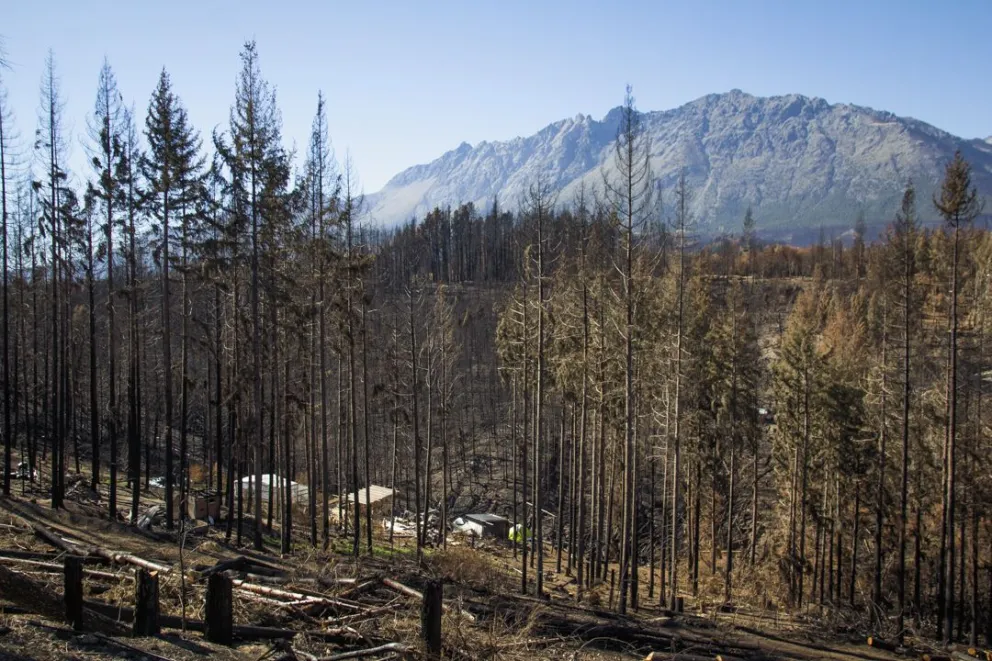 Avanzan en la concientización respecto incendios forestales en la región andina. Foto de archivo