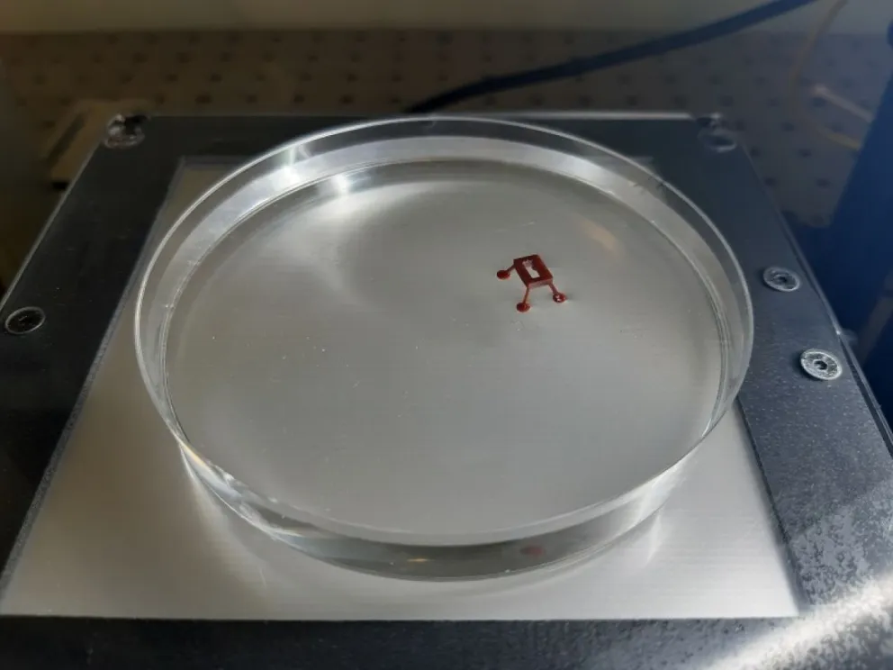 Ingeniero egresado del Balseiro participa en la creación de un microrobot que “camina” sobre el agua