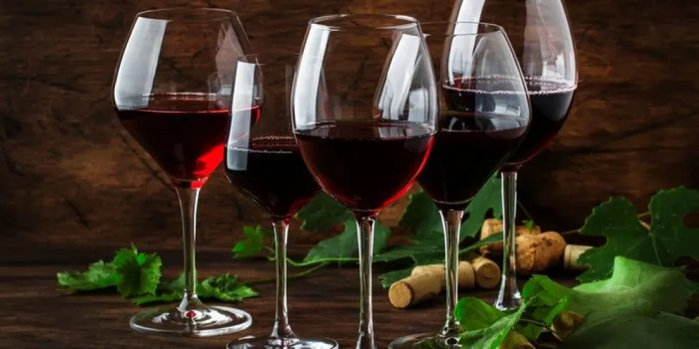 Estos son los mejores vinos de Argentina según la app más famosa