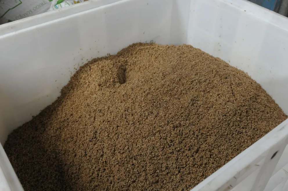 Bagazo cervecero: hoy se descarta y podría usarse para panificados y repostería