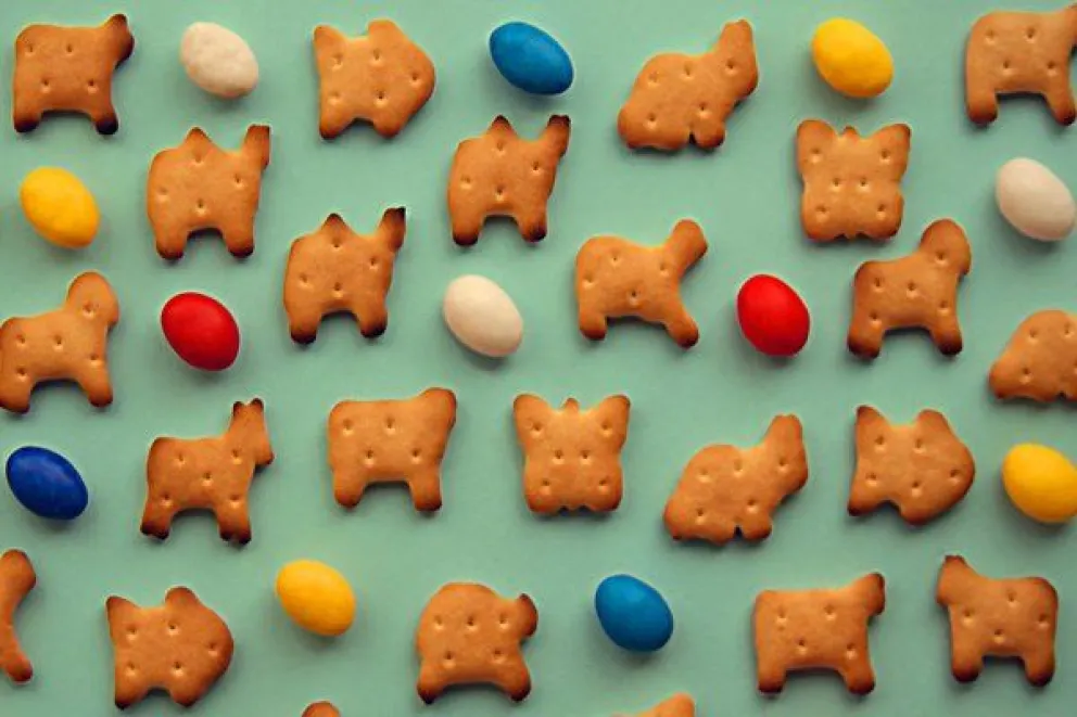 “Los veganos vamos más allá de no comer galletitas con formas de animales”