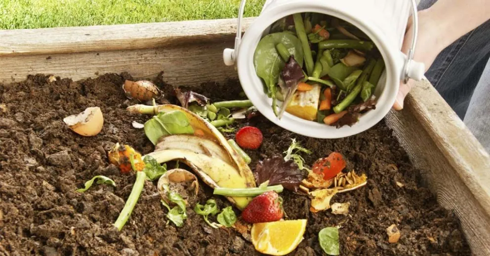 Cómo hacer compost con los residuos orgánicos de tu casa