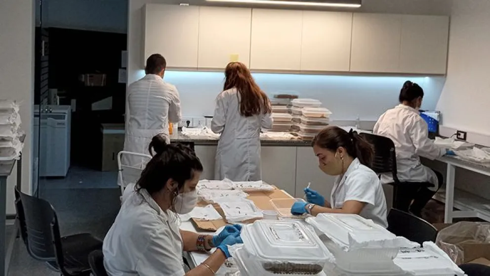 Empresa nacional de biotecnología producirá a gran escala la proteína clave del coronavirus 