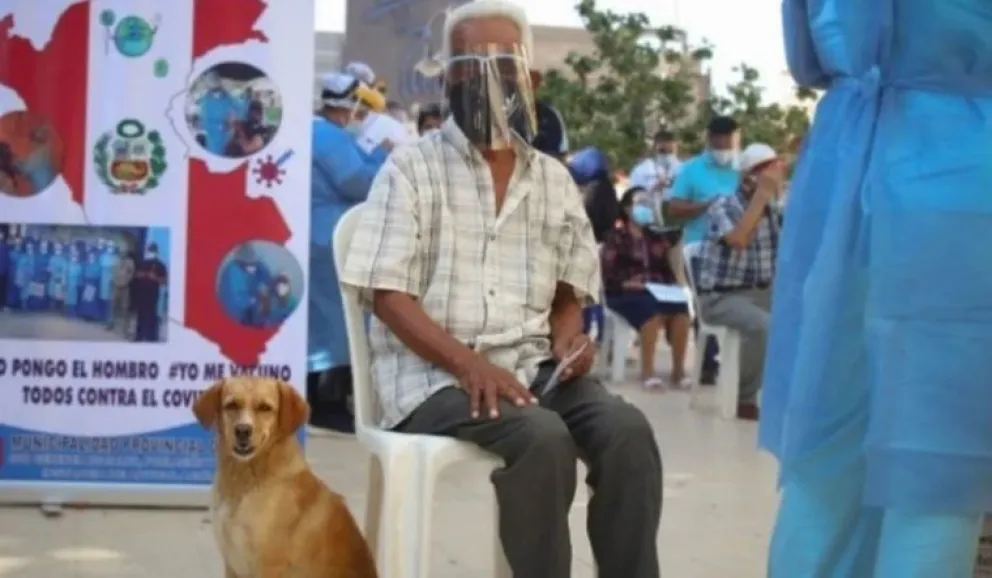 Inseparables: Tiene 85 años, y fue a vacunarse contra el Covid con su perro
