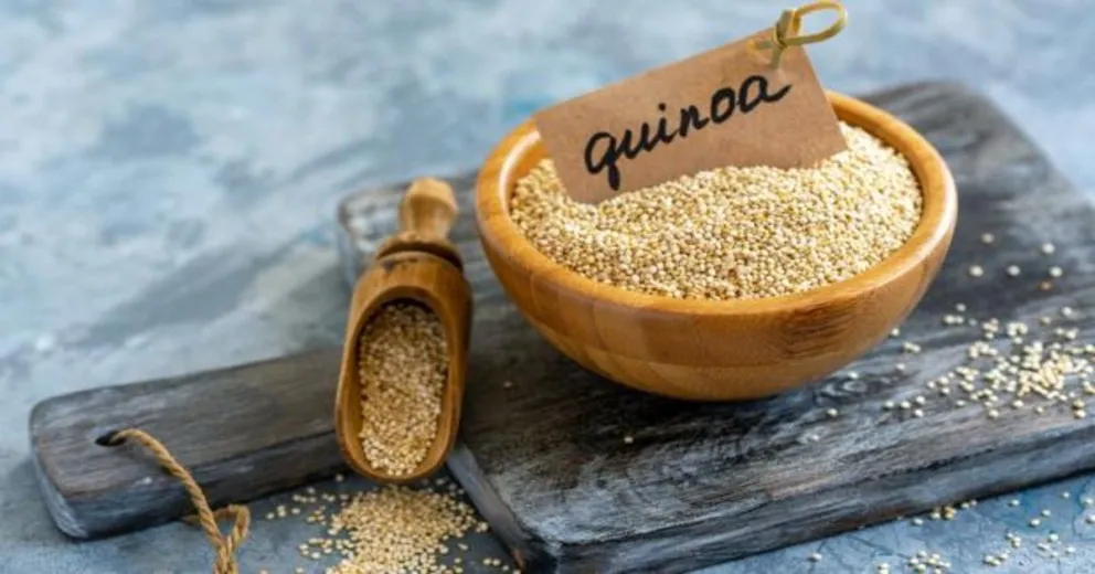 Quinoa: conocé las propiedades de este "superalimento" y cómo prepararla