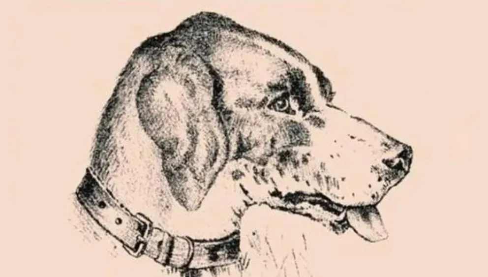 Desafío viral: ¿podés hallar al hombre oculto en la imagen en sólo 30 segundos?