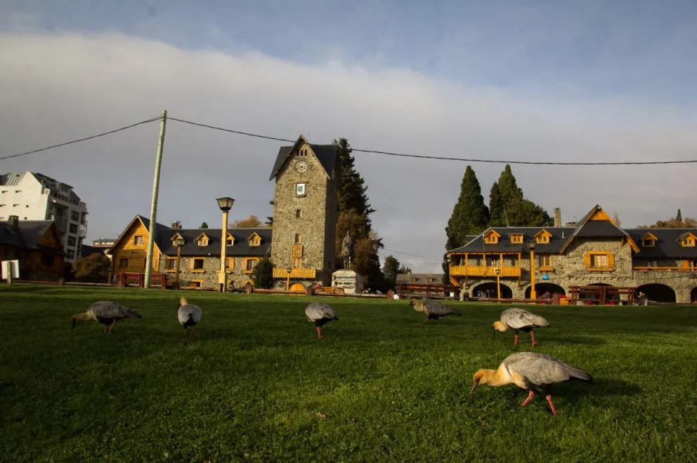 Bajó el número de casos, pero Bariloche continúa con ocupación al límite de camas