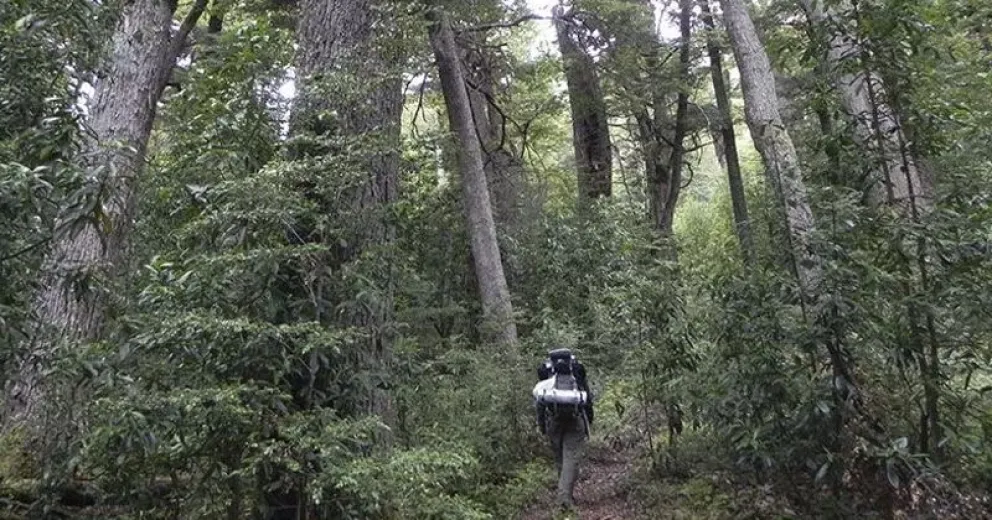 Informaron nuevas medidas y restricciones para actividades en el Parque Nacional Nahuel Huapi