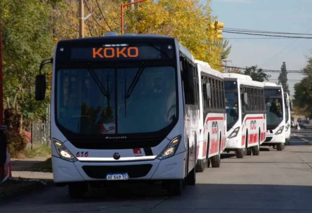 Llegaron los primeros micros con los que la empresa Koko renovará su flota en Roca