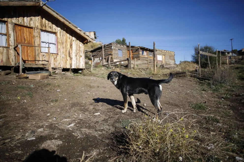 Los comedores y su función de contención social