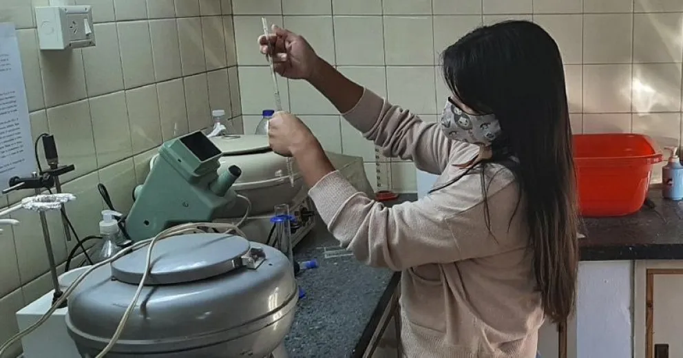 Inauguran en Bariloche prueba fundamental para detectar triquinosis en cerdos domésticos