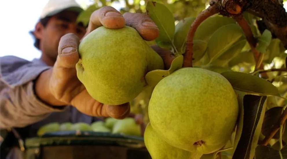 Prorrogan el plazo para presentaciones en el marco de la Ley de Transparencia