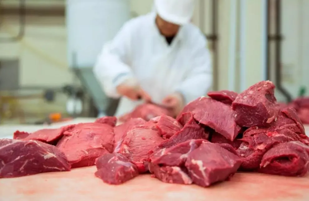 Cuáles son los cortes de carne a precios accesibles y cuánto costarán