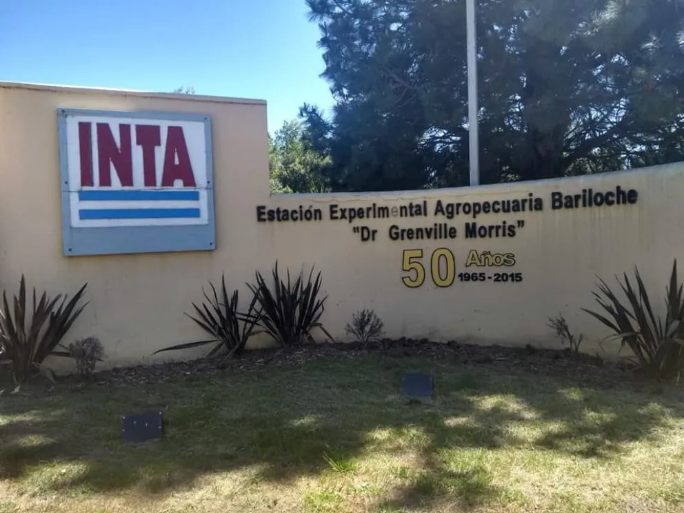 Evalúan políticas agropecuarias para la Norpatagonia