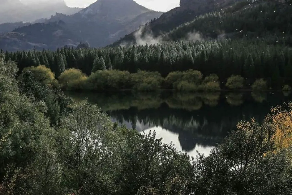 El Bosque Andino Patagónico celebró su día: Cómo cuidar y preservar este patrimonio