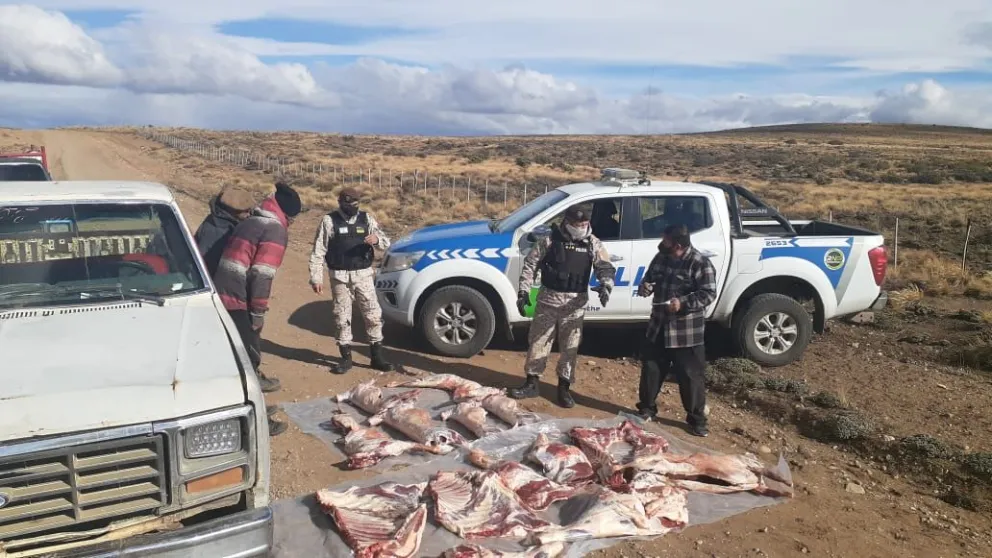 Llevaban una vaca, chivos y corderos faenados clandestinamente