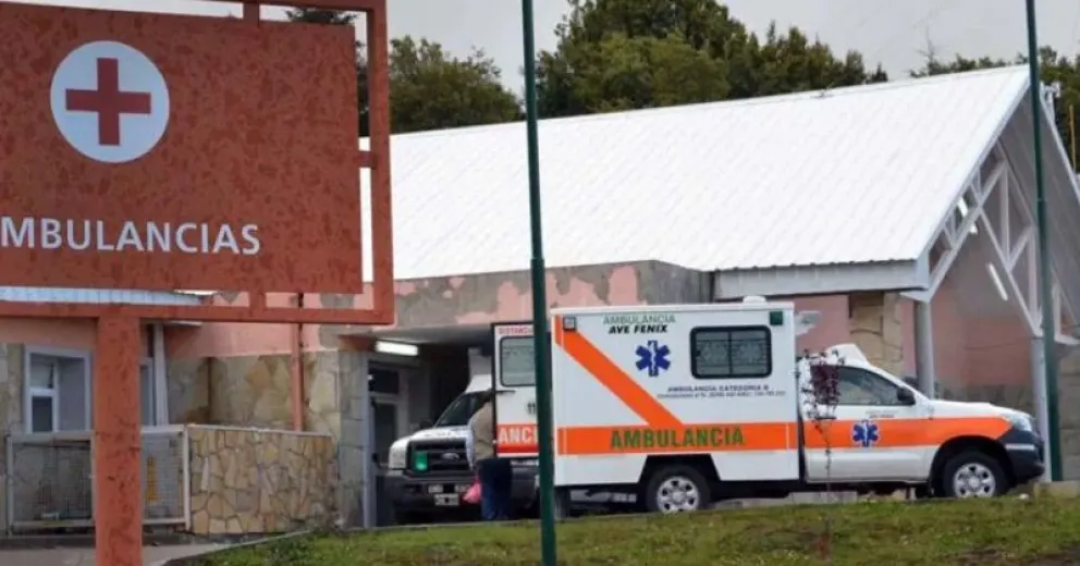 La cepa Manaos también llegó a Villa La Angostura