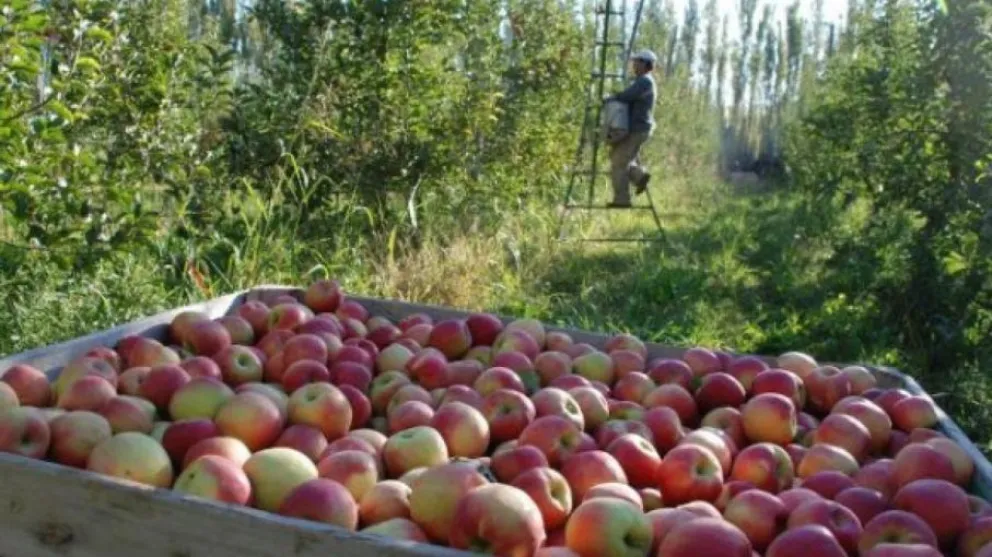 Más de 30 productores de Río Negro presentaron sus demandas a Nación