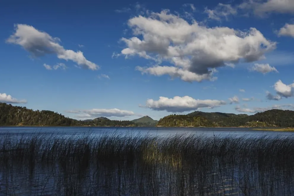 Vanesa Boca: "Empecé a llorar y gritar hasta que salió Campi con el nene"