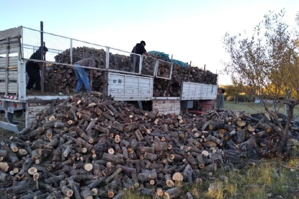 Plan Calor 2021: Continúan con la entrega de leña en la provincia 
