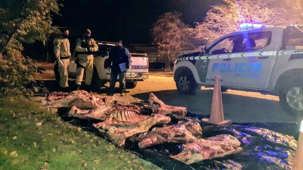 Dos ladrones de ganado fueron detenidos con 300 kilos de carne vacuna