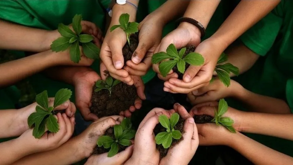 La Educación Ambiental Integral ya es ley: ¿qué implica esta nueva normativa?