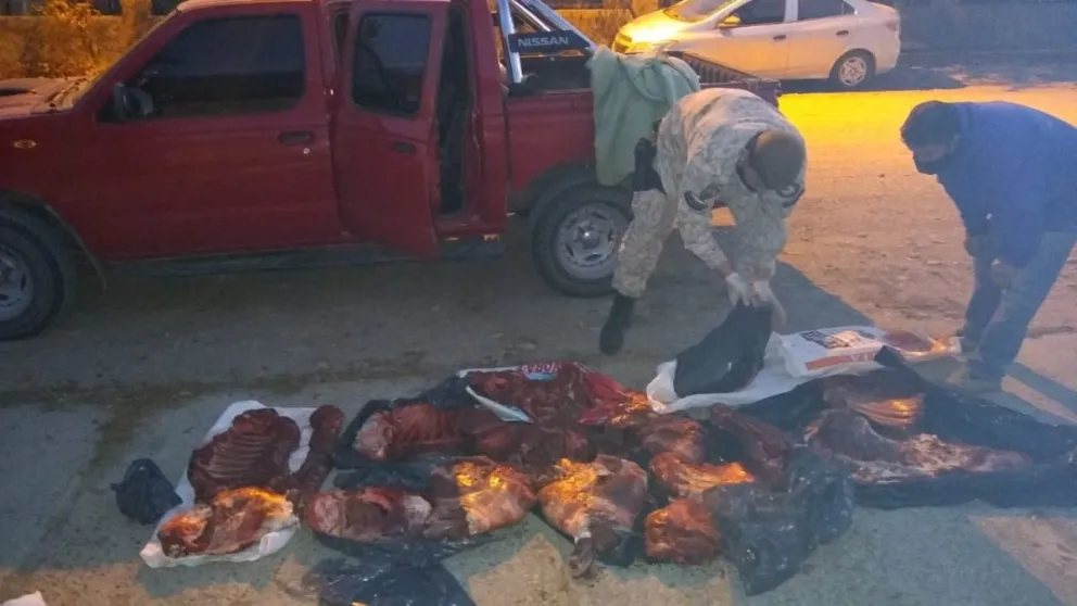 Furtivos cazaron una oveja y un ciervo, pero no tenían permiso y los agarraron en un control Furtivos cazaron una oveja y un ciervo, pero no tenían permiso y los agarraron en un control